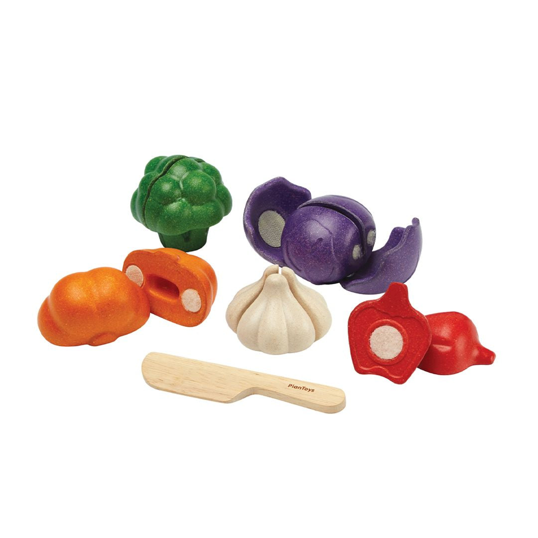 PlanToys 5 Colors Eco-Friendly Wooden Pretend Play Veggie Set