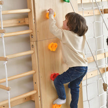 Load image into Gallery viewer, Walnut - 9-in-1 Swedish Ladder Wall Gym and Climber