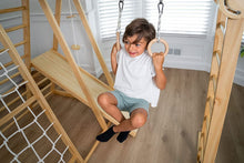 Load image into Gallery viewer, Avenlur Chestnut - 8-in-1 Eco-Friendly Wooden Jungle Gym for Toddlers