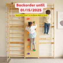Load image into Gallery viewer, Walnut - 9-in-1 Swedish Ladder Wall Gym and Climber