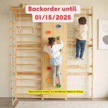 Load image into Gallery viewer, Walnut - 9-in-1 Swedish Ladder Wall Gym and Climber