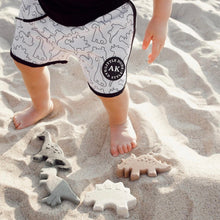 Load image into Gallery viewer, AK Clothing x C&F Dino Silicone Beach Toy Set