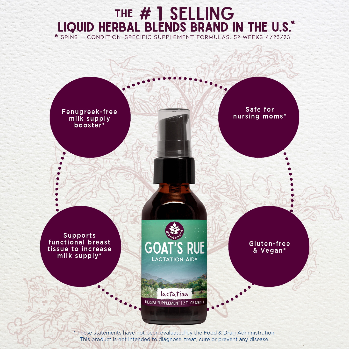 Goat's Rue Lactation Aid