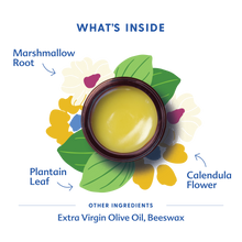 Load image into Gallery viewer, Motherlove USDA Organic Green Salve Herbal Balm for Outdoor Adventures | Soothing Scrapes, Bumps, Bruises, Bug Bites