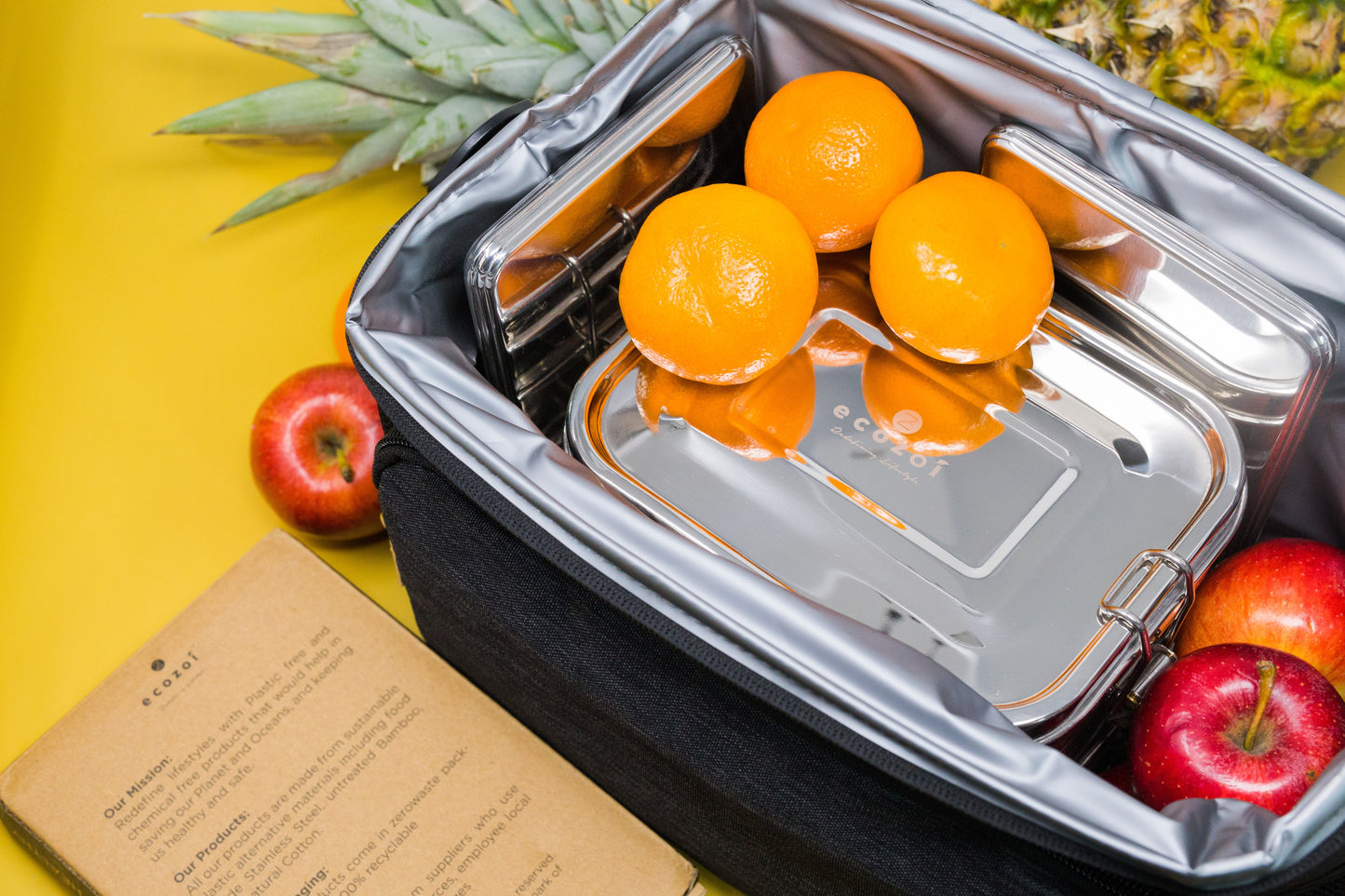 Ecozoi Stainless Steel Freezer PACKS FOR LUNCH Boxes and Lunch Bags, 2 Pack