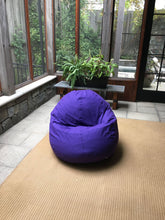 Load image into Gallery viewer, Bean Bag Loveseat Comfy Bean Family- Cotton, Organic Cotton, Hemp