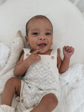 Load image into Gallery viewer, Luna + Luca Sprouts Romper