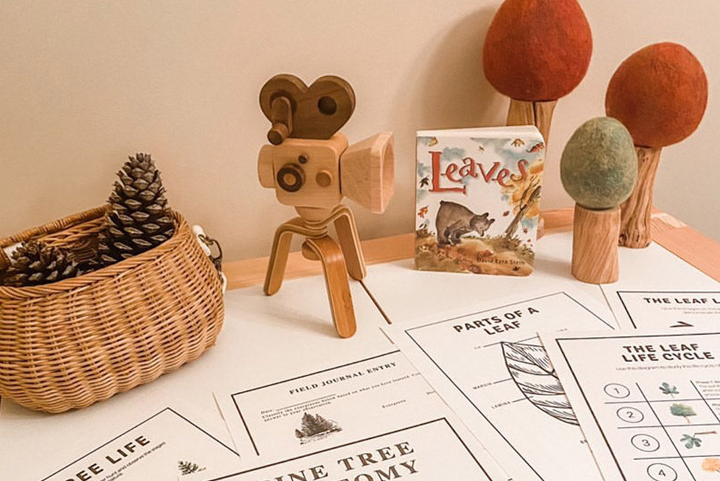 Super 16 Pro Wooden Toy Camera With Tripod