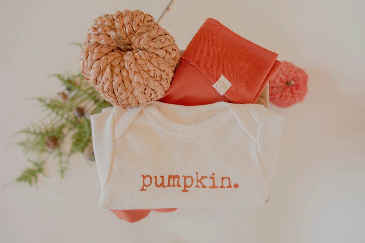 Pumpkin Organic Cotton Baby Bodysuit – Long Sleeve, 0–24M