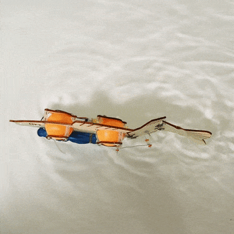 Kitsville Fish Robot DIY Kit – Wooden STEM Building Kit for Kids 10+
