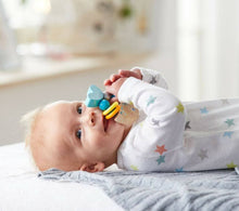 Load image into Gallery viewer, HABA Rattlefish Wooden Eco-Friendly Non-Toxic Baby Rattle