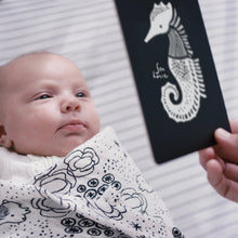 Load image into Gallery viewer, Wee Gallery Organic Eco-Friendly Newborn Baby Gift Set | Ocean