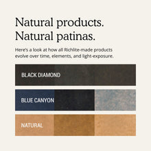 Load image into Gallery viewer, Cap and Shields