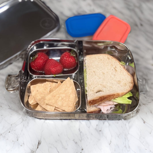 stainless steel bento box for kids school lunches