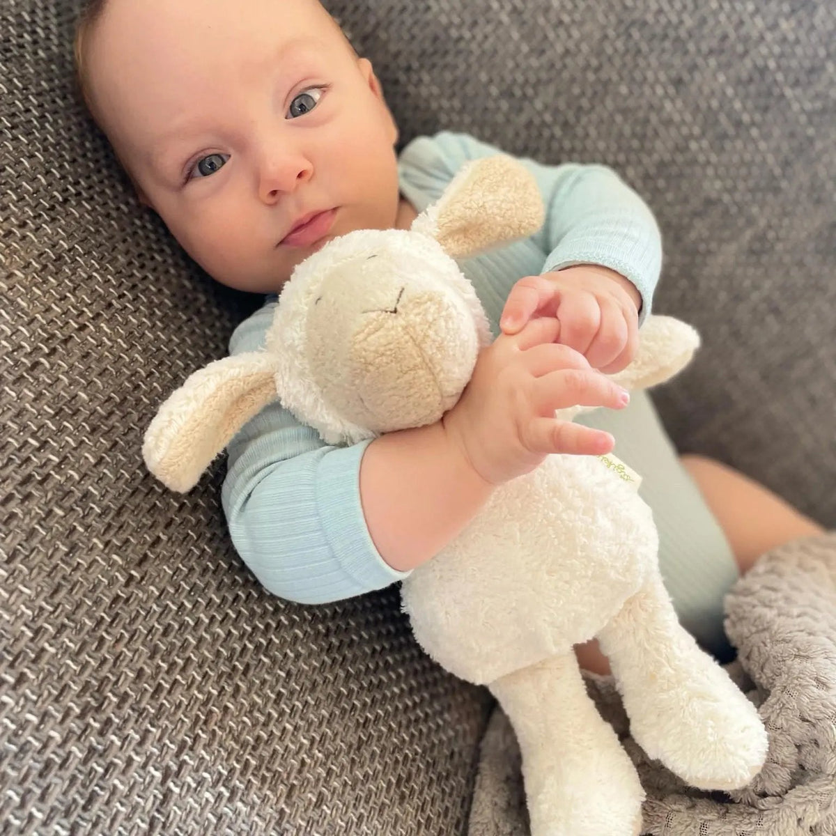 sigikid Organic Cotton Sheep Plush Toy with Organic Lambswool Filling – 10.6"
