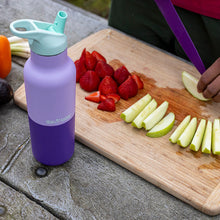 Load image into Gallery viewer, Klean Kanteen Stainless Steel 16oz Rise Classic with Flip Seal Sport Cap

