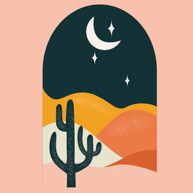 Klean Kanteen Stainless Steel 18oz Classic with Flip Seal Sport Cap - Bohemian Nights