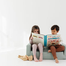 Load image into Gallery viewer, Sage Play Couch
