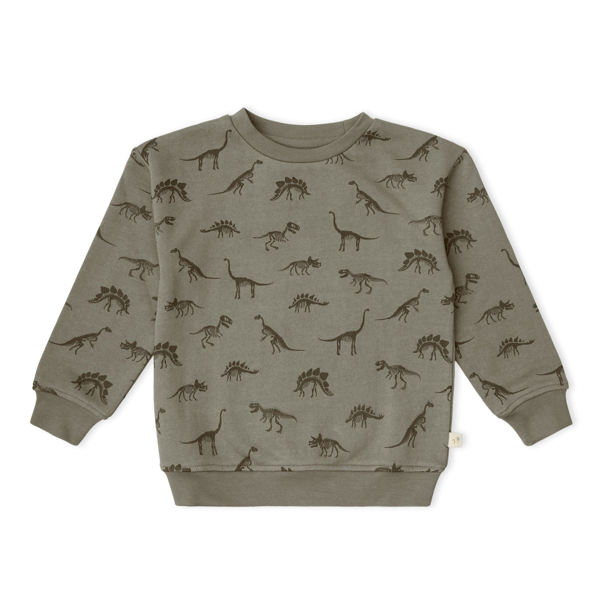 Organic Fleece Sweatshirt for Babies & Toddlers – Dino