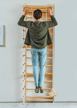 Load image into Gallery viewer, Avenlur Betula Eco-Friendly Wooden Swedish Wall Ladder and Climber
