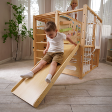 Load image into Gallery viewer, Avenlur Alpine Eco-Friendly Wooden Adventure Gym - Ultimate Indoor Play Experience
