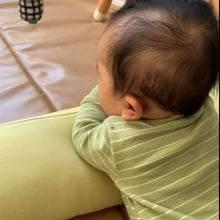 Load image into Gallery viewer, Daisy Jersey Support Pillow
