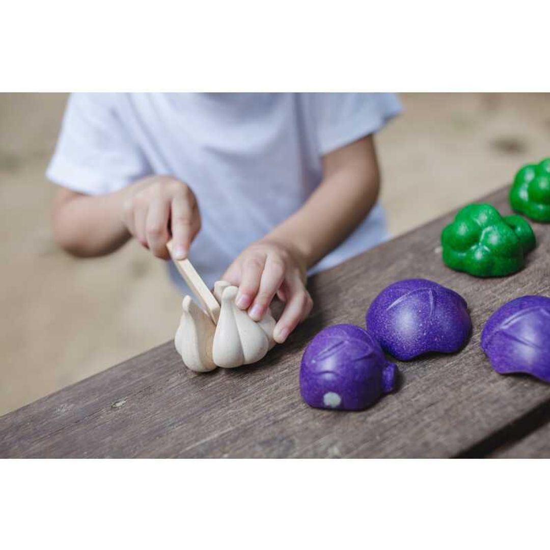 PlanToys 5 Colors Eco-Friendly Wooden Pretend Play Veggie Set