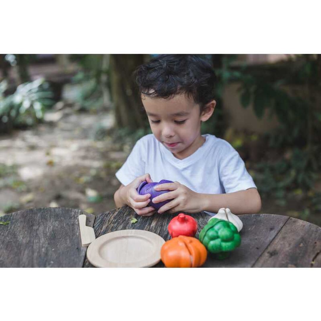 PlanToys 5 Colors Eco-Friendly Wooden Pretend Play Veggie Set