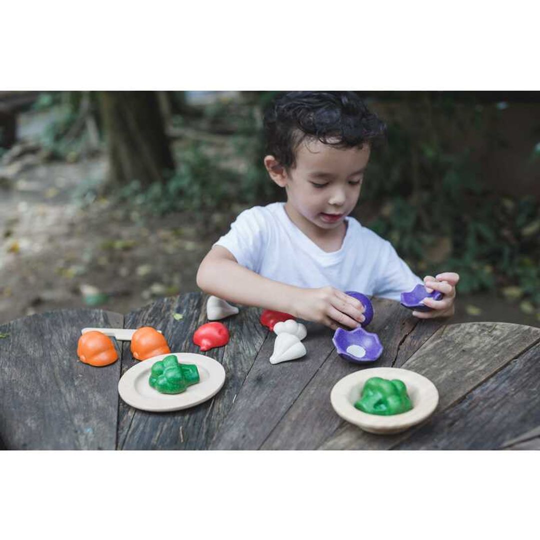 PlanToys 5 Colors Eco-Friendly Wooden Pretend Play Veggie Set
