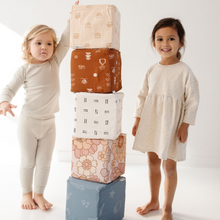 Load image into Gallery viewer, Blooms Play Cube
