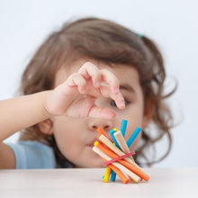 Load image into Gallery viewer, Pick-Up Sticks - PlanMini
