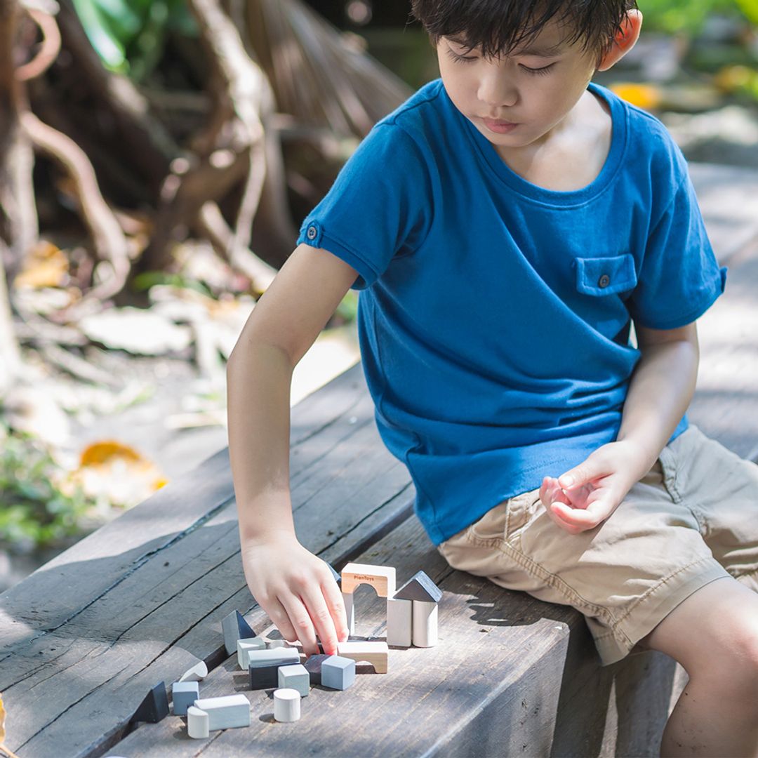 Construction Set - PlanMini