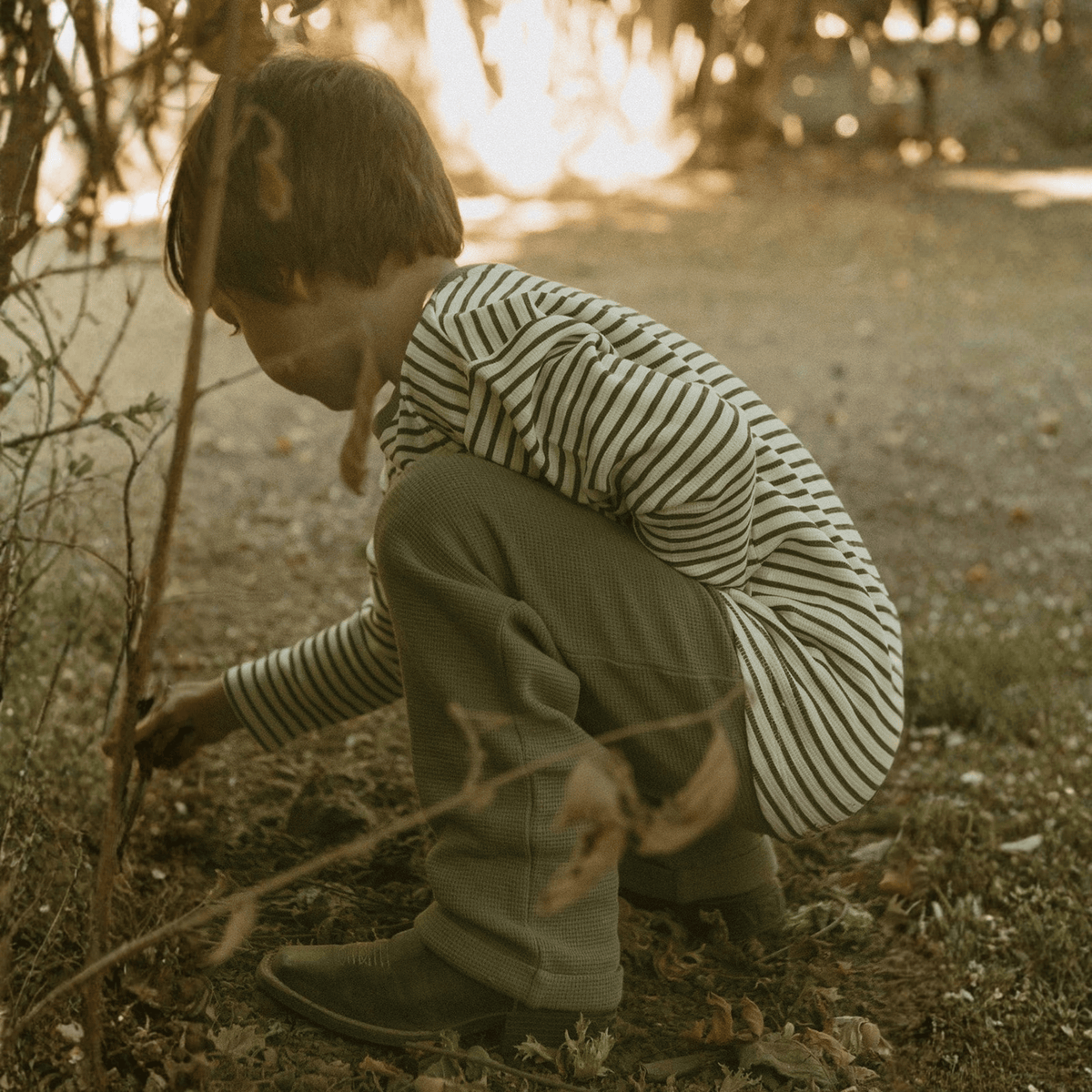Organic Cotton Tee & Foldover Pants Set for Babies & Toddlers – Olive Stripes