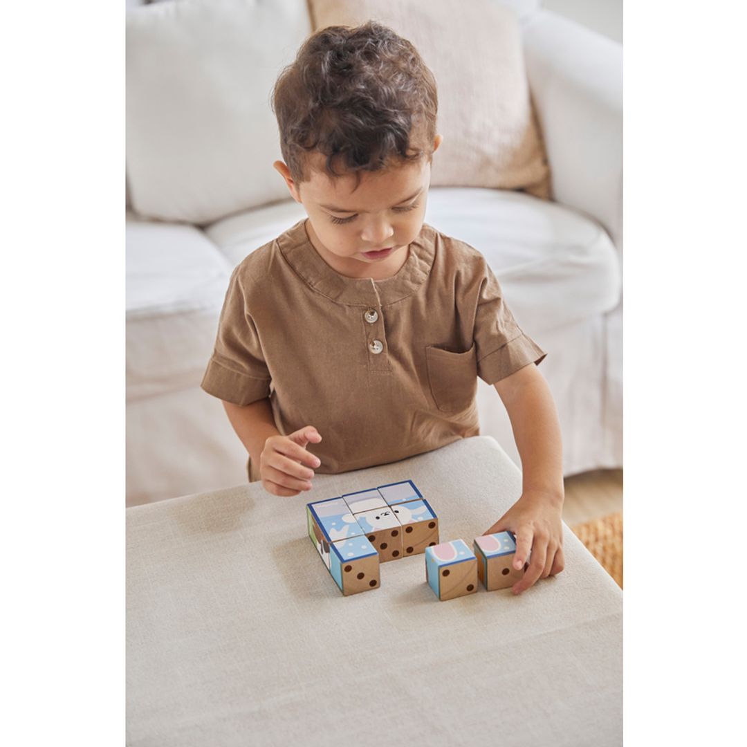 PlanToys Animal Puzzle Cubes: Eco-Friendly, Non-Toxic Educational Toddler Preschool Toy