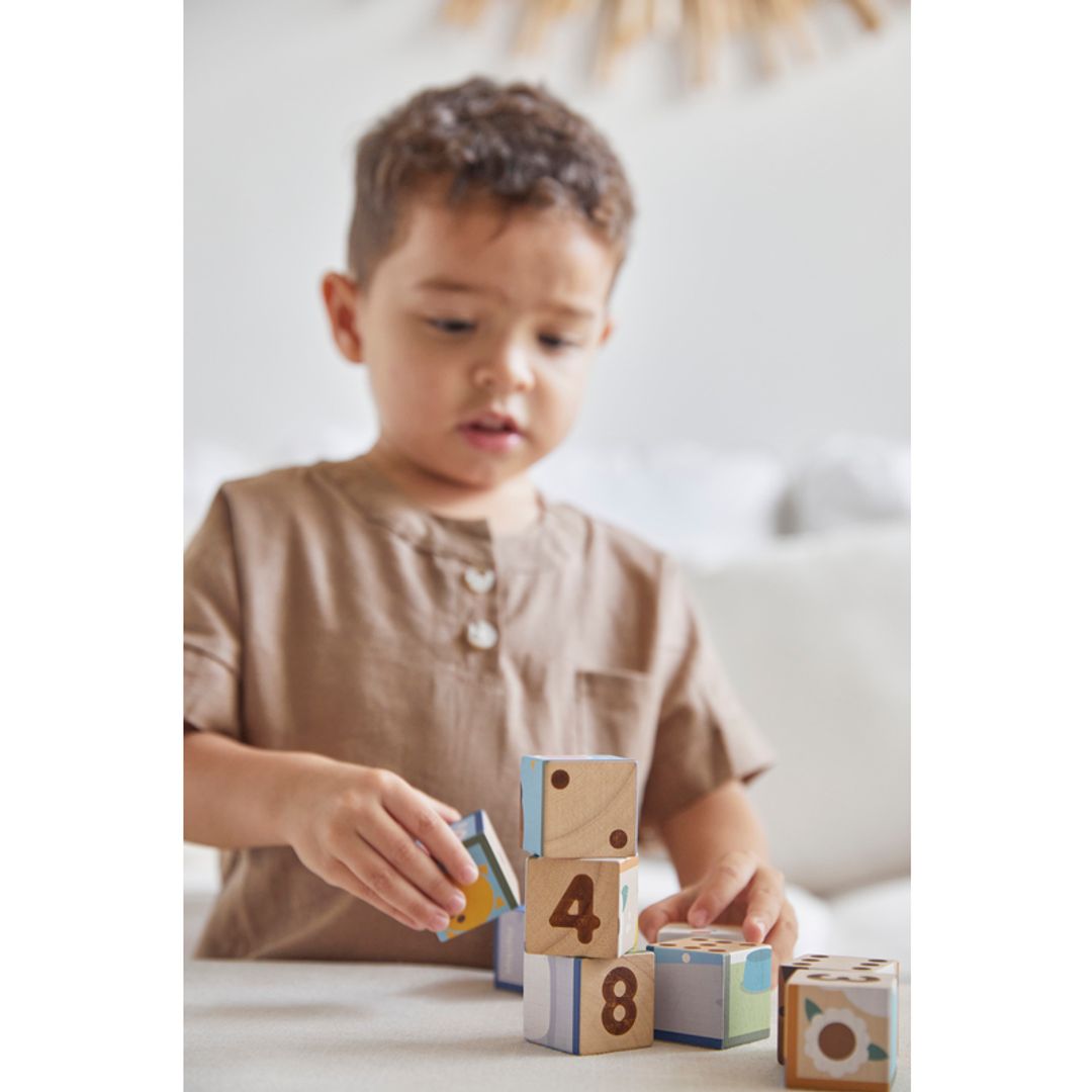 PlanToys Animal Puzzle Cubes: Eco-Friendly, Non-Toxic Educational Toddler Preschool Toy