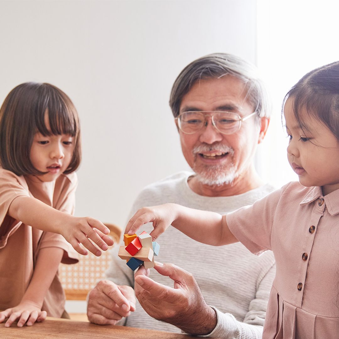 Rectangular Puzzle - PlanMini