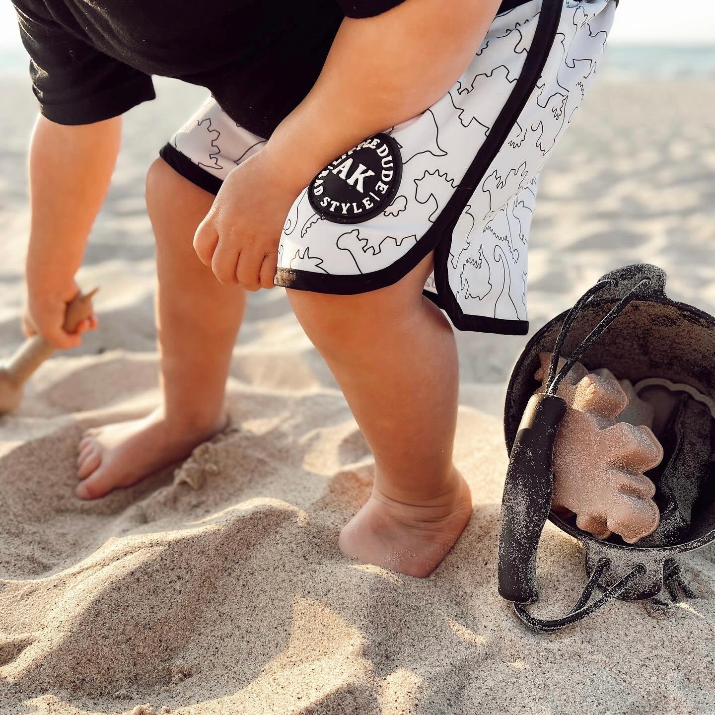 AK Clothing x C&F Dino Silicone Beach Toy Set