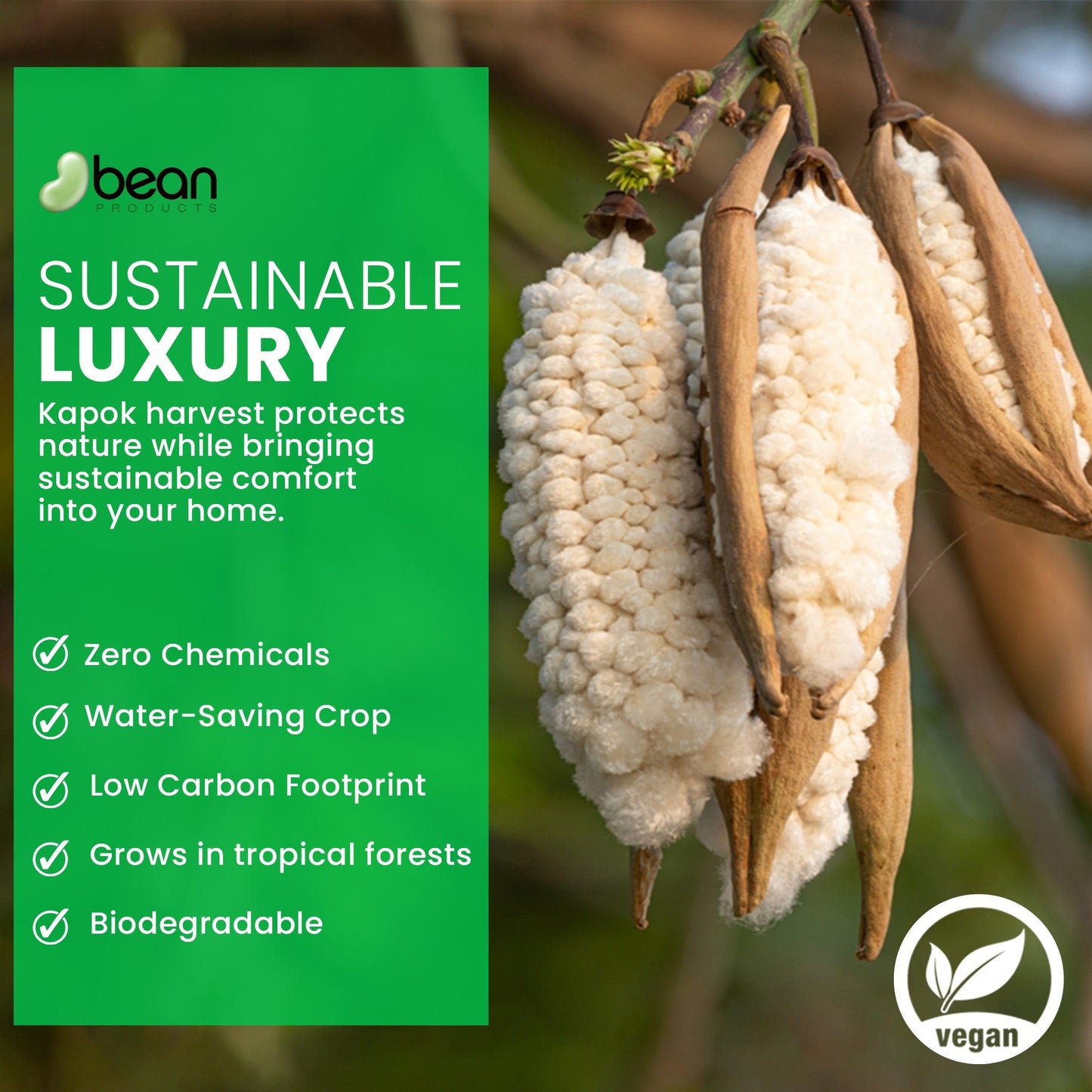 Organic Kapok Sleep Bed Pillows with 100% Organic Cotton Fabric - Plant Based Vegan