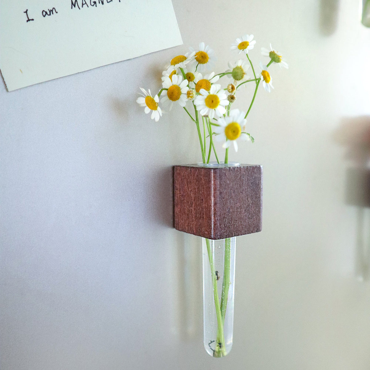 Kitsville Mini Vase Magnets – Beech & Walnut (Set of 2)