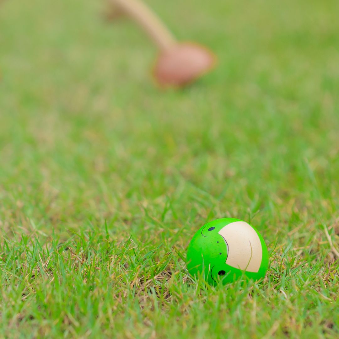 PlanToys Sustainable Non-Toxic Kids' Croquet Yard Game