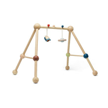Load image into Gallery viewer, Play Gym - Orchard
