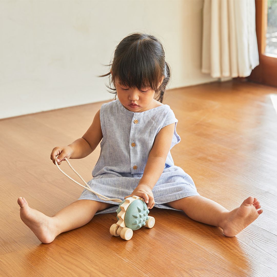 Pull-Along Hedgehog - Blue