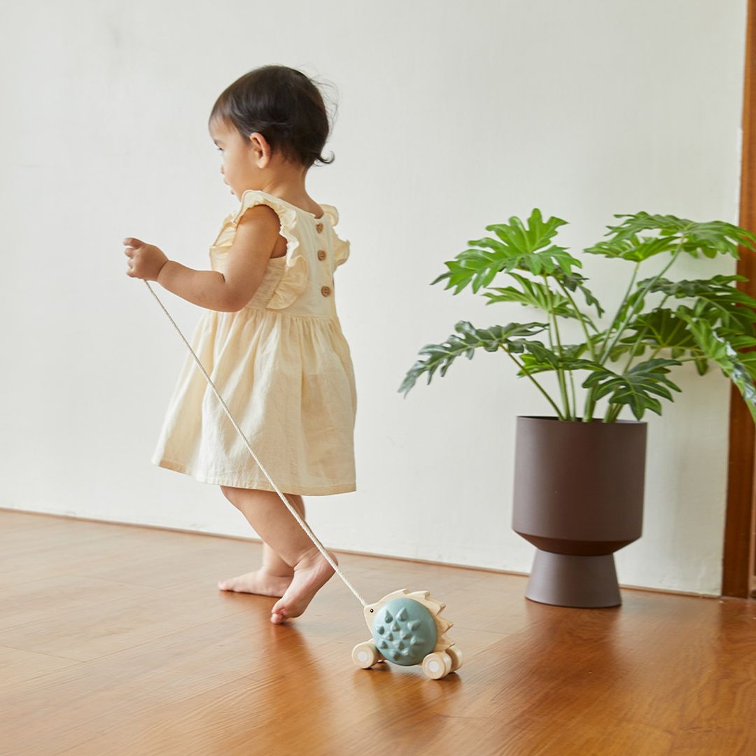 Pull-Along Hedgehog - Blue