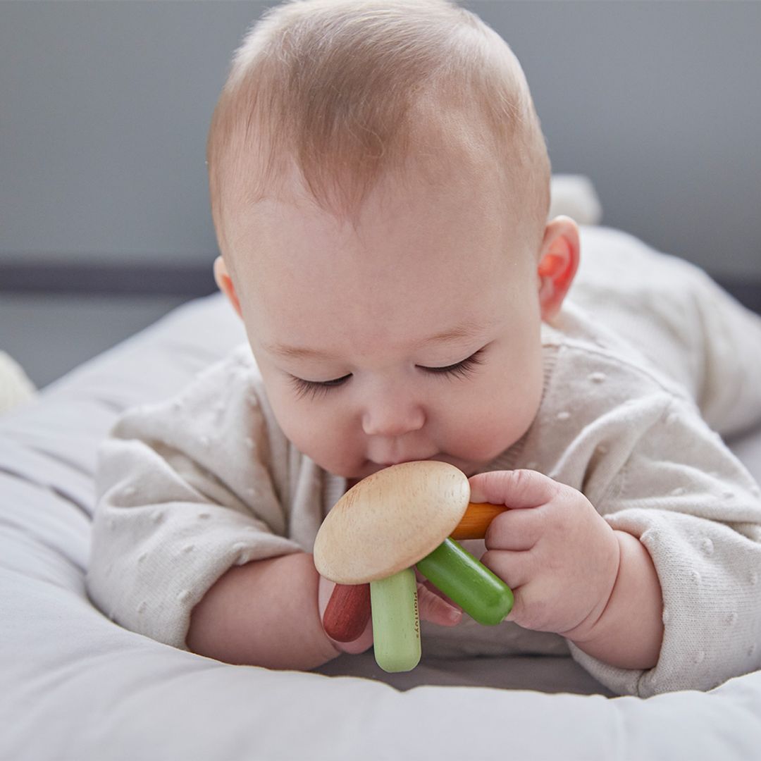 Flexi Jellyfish - Modern Rustic