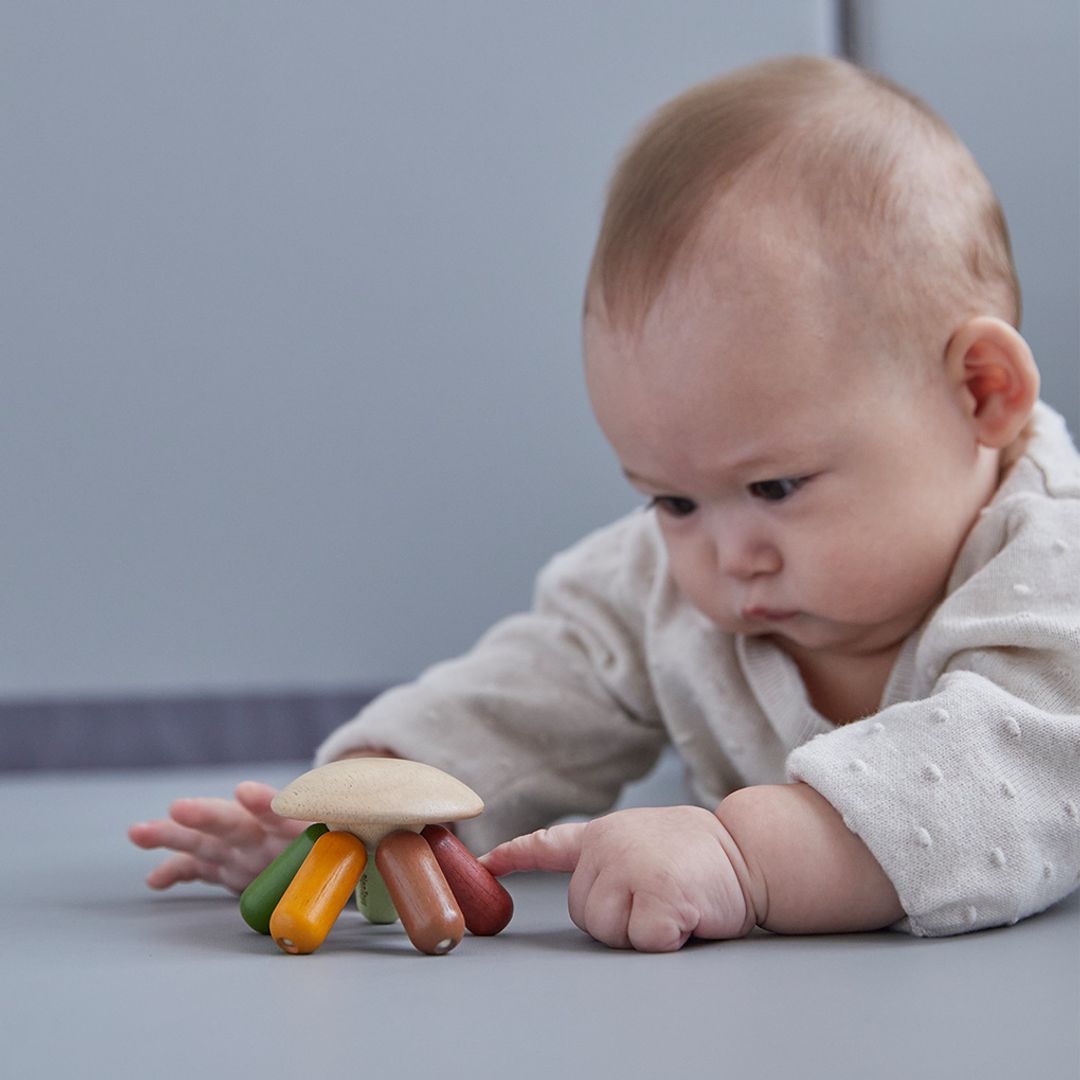 Flexi Jellyfish - Modern Rustic