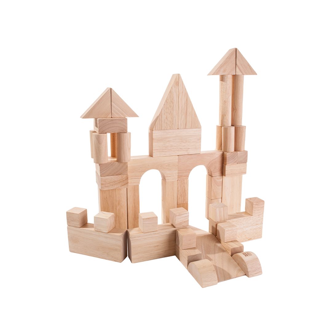 PlanToys 50 Unit Natural Wood Eco-Friendly STEM Building Blocks