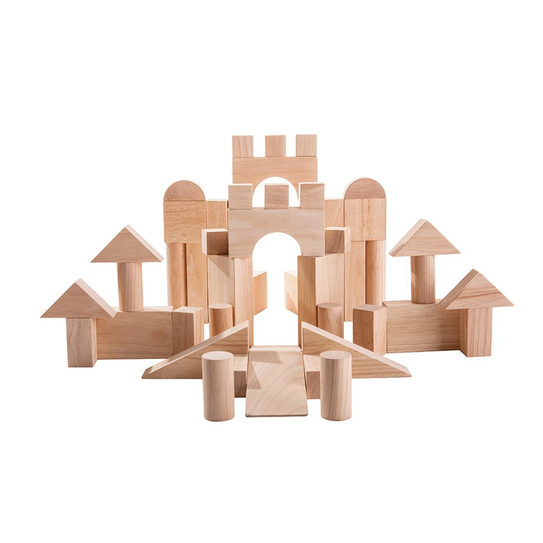 PlanToys 50 Unit Natural Wood Eco-Friendly STEM Building Blocks