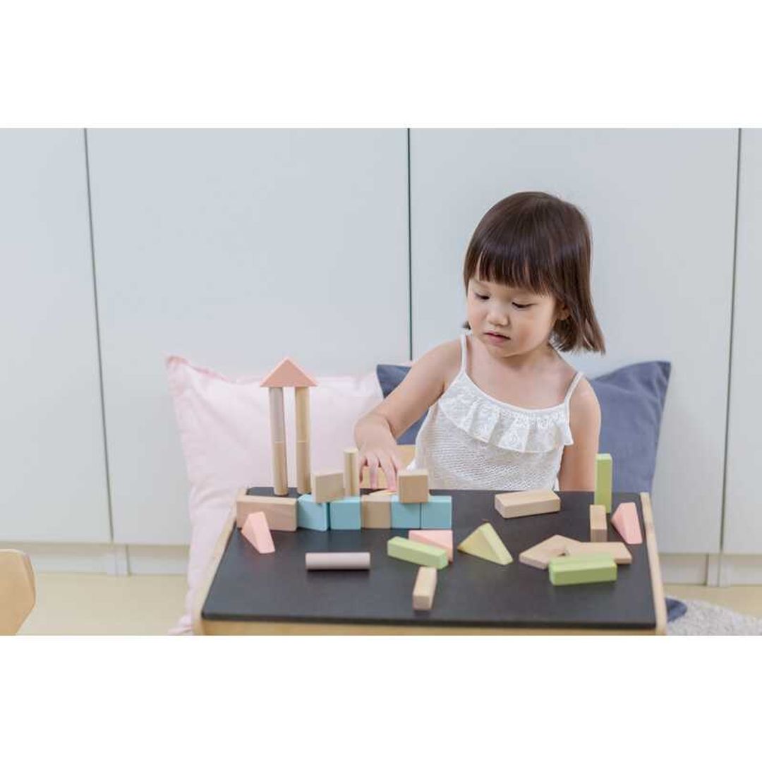 PlanToys 40 Unit Eco-Friendly Wooden Building Blocks Set
