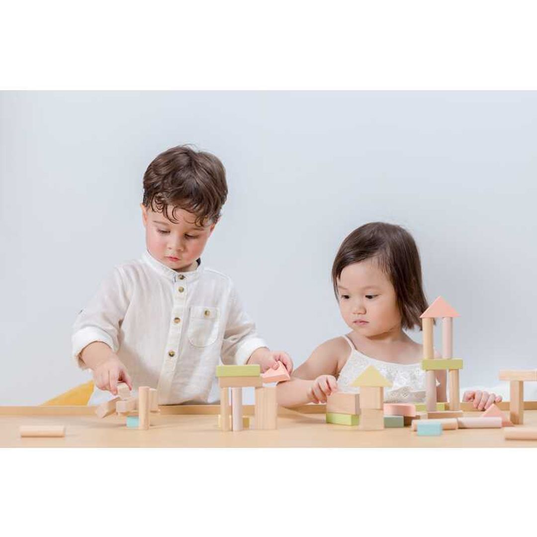 PlanToys 40 Unit Eco-Friendly Wooden Building Blocks Set