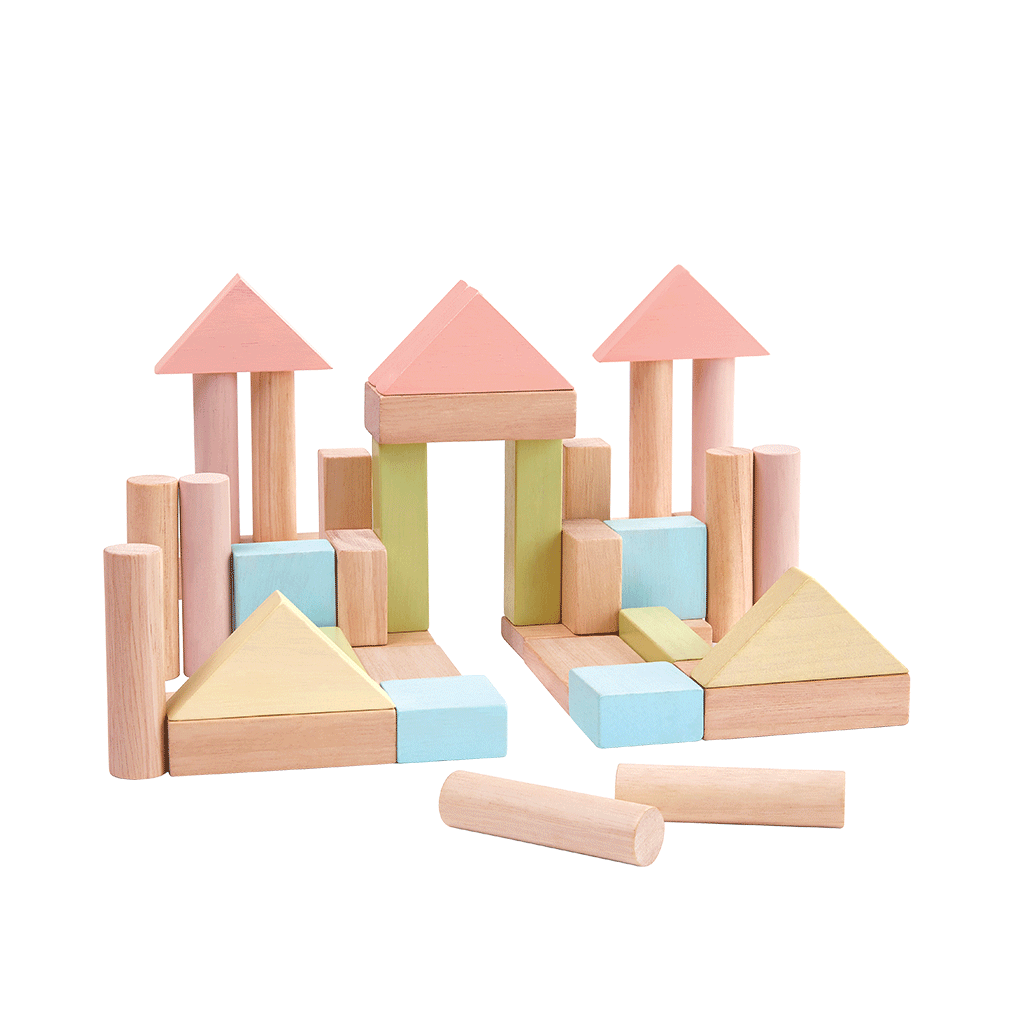 PlanToys 40 Unit Eco-Friendly Wooden Building Blocks Set